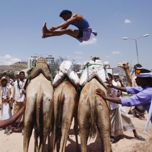 A Bedouin man jumps over camels during the Sanaa Summer Festival in Sanaa August 20, 2013. The two-week festival aims to stimulate domestic tourism and reassure local and international tourists about Yemen's stability. REUTERS/Khaled Abdullah (YEMEN - Tags: SOCIETY TRAVEL ANIMALS TPX IMAGES OF THE DAY)