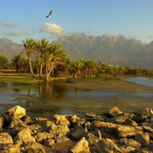 socotra-island-yemen-amazing-view